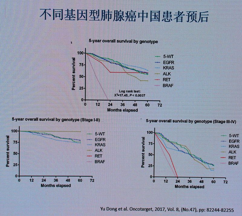 肺腺癌最常见的驱动基因,肺腺癌基因无突变的最佳治疗方式