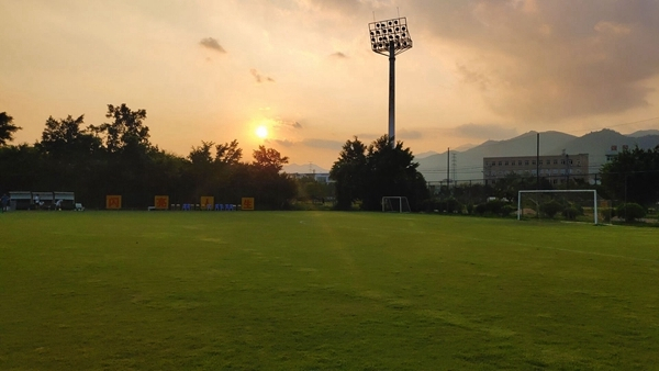 非凡一升突破未来vivonex测评,vivonex旗舰版详细评测