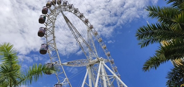 非凡一升突破未来vivonex测评,vivonex旗舰版详细评测