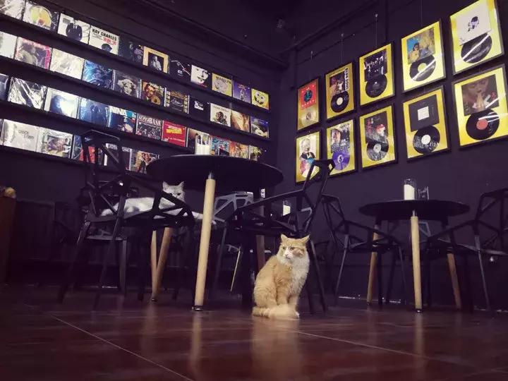 逛798得多长时间,798寻宝地图