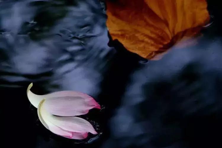 古人睡眠有八忌,古人睡眠的三大禁忌