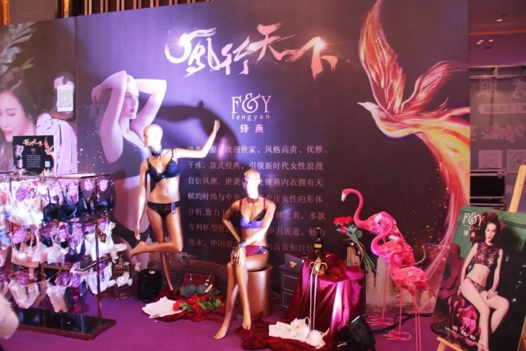 锦绣山湖,华彩安徽|内衣视界·财智峰会(安徽站)品牌展示