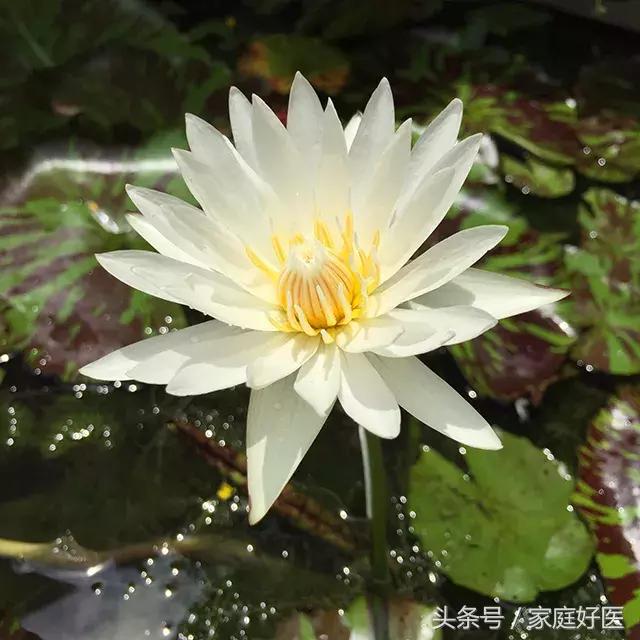 看电视看出门道,看电视剧看出点门道