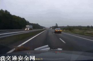 高速上遇到动物了正确处理方法,救命贴