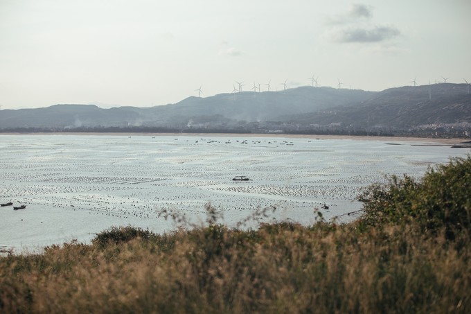 厦门小众网红打卡点,厦门小众打卡点免费
