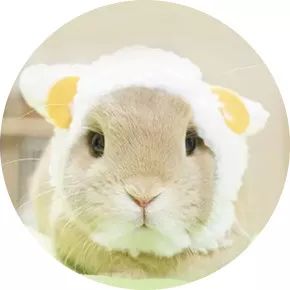 ysl小麦色皮肤适合的口红,适合黑黄皮的ysl口红颜色