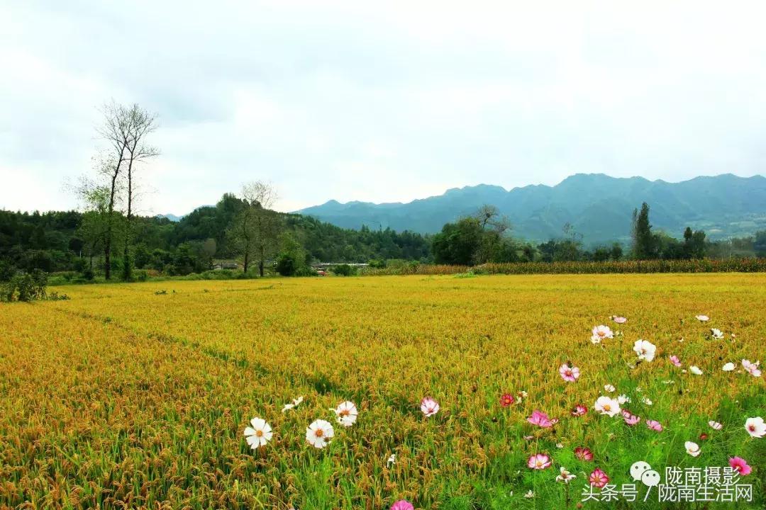 陇南徽县游龙川,徽县游龙川李家寺