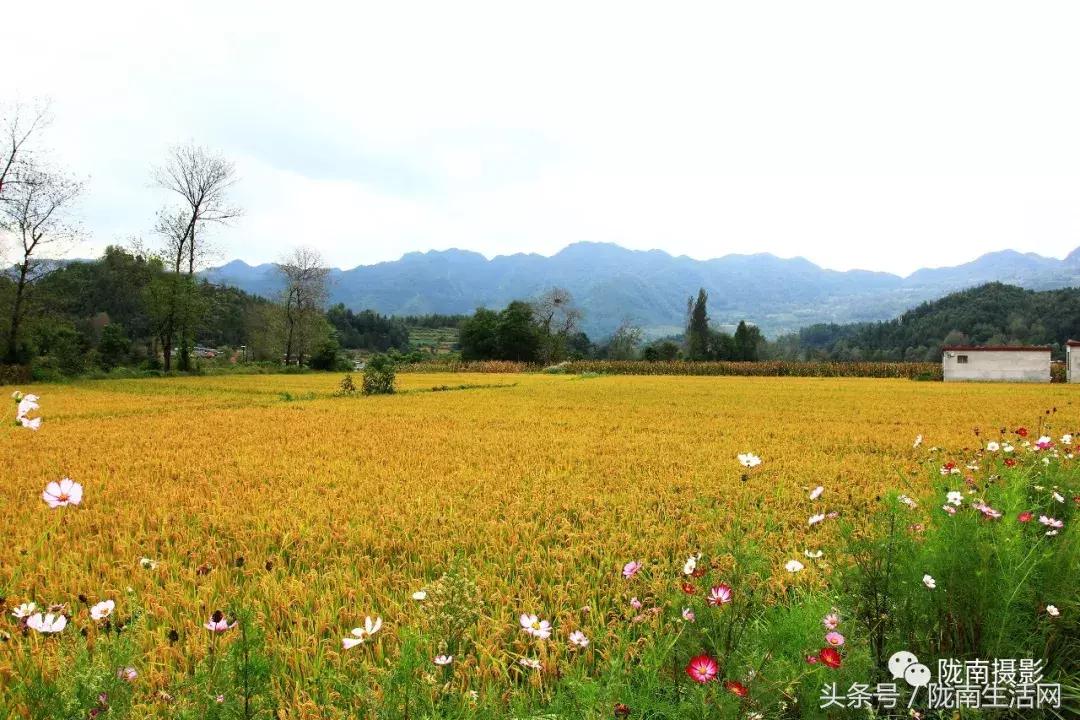 陇南徽县游龙川,徽县游龙川李家寺