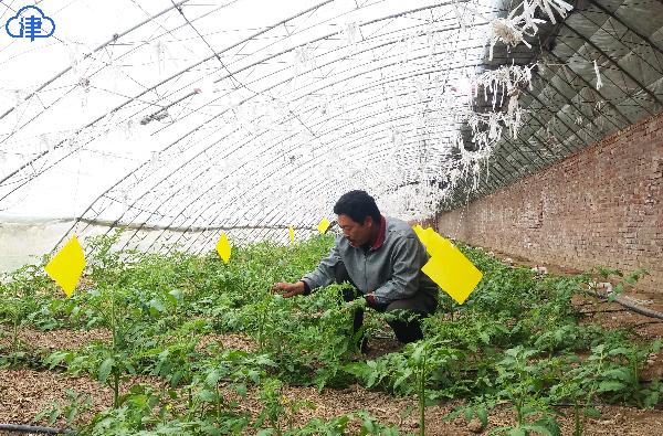 天津市农业科技园区建设方案,天津现代农业产业园运营模式