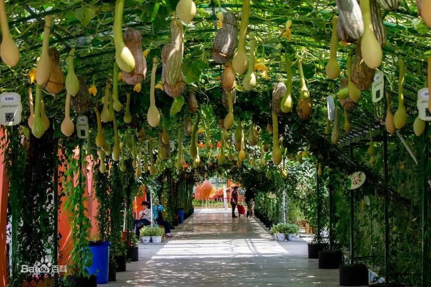 玉林国庆假期去哪玩比较好玩,国庆玉林哪里好玩