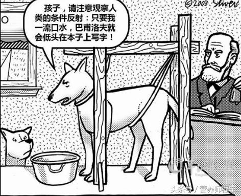 焦虑抑郁失眠如何改善睡眠,失眠减压的最快方法