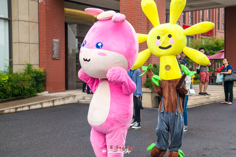 十一小长假带婴儿去哪里玩,十一长假想带孩子旅游长见识