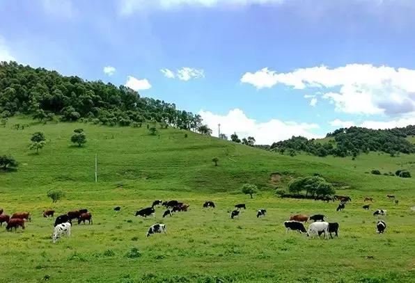 陕西中秋国庆假期出行提示来了,国庆陕西哪里旅游最值得去