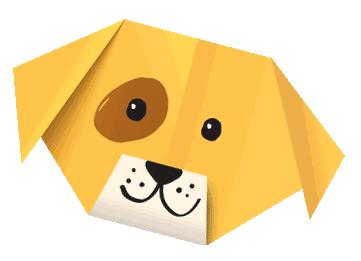 致死率100%的狂犬病有多厉害,致死率100%的狂犬病你该怎么预防