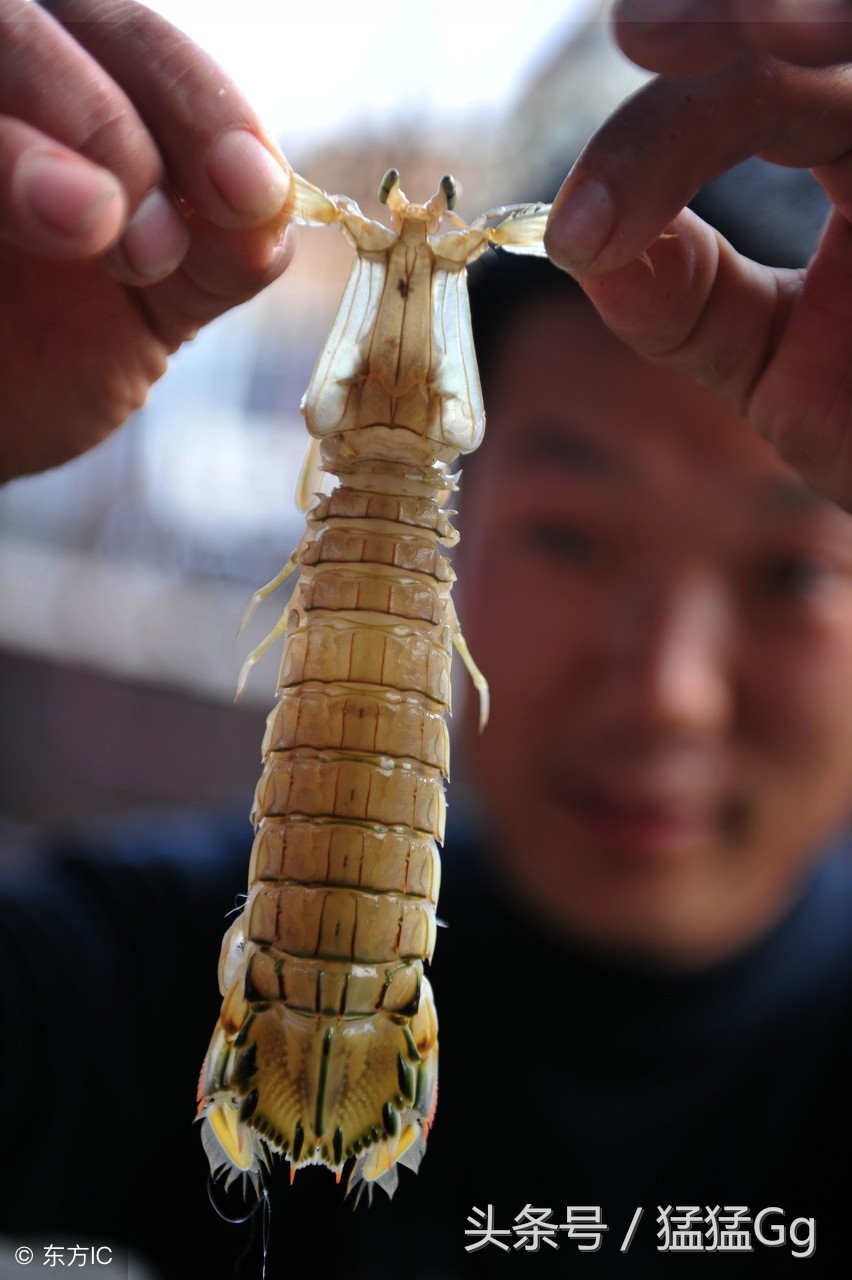 bu~谷，哇哦，什么声音？好刺耳啊……