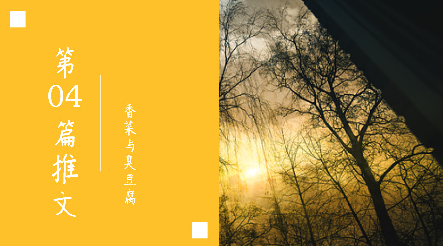 吴秀波张雨绮主演的电视剧,吴秀波张雨绮一起演的电视剧