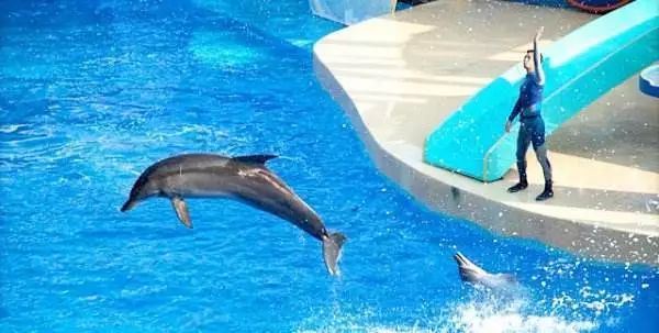 广深港沿途旅游攻略,广深港澳攻略