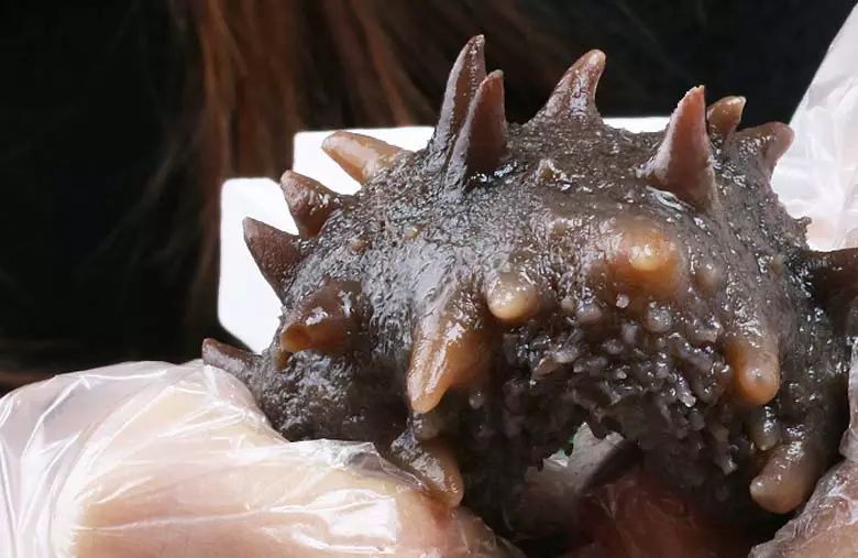 白菜价买海参,白菜价买黄金骗局