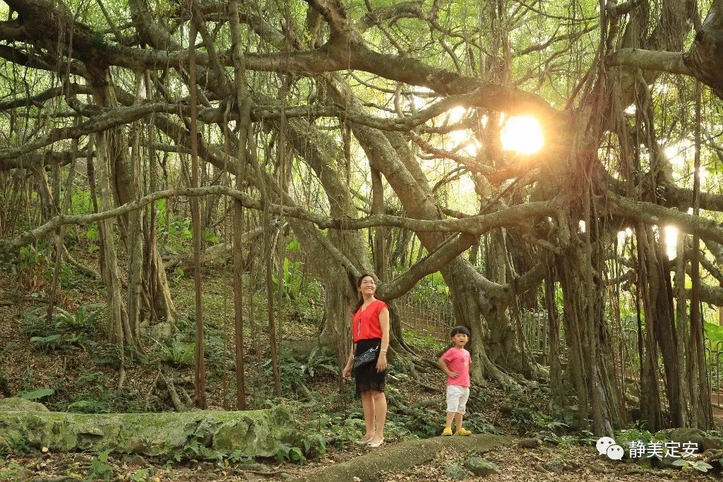 十一惬意旅游,十一邀您住酒店