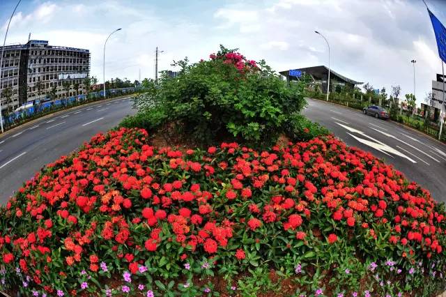 江南区沙井街道,江南沙井