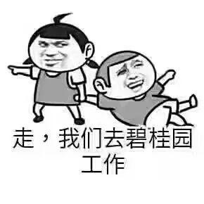 在碧桂园实习是一种怎样的体验：都是踏踏实实做事的人感觉超厉害