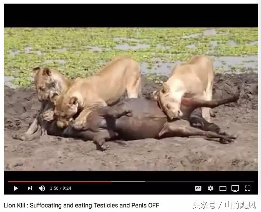 科学研究男性特征,科学认识男性生理问题