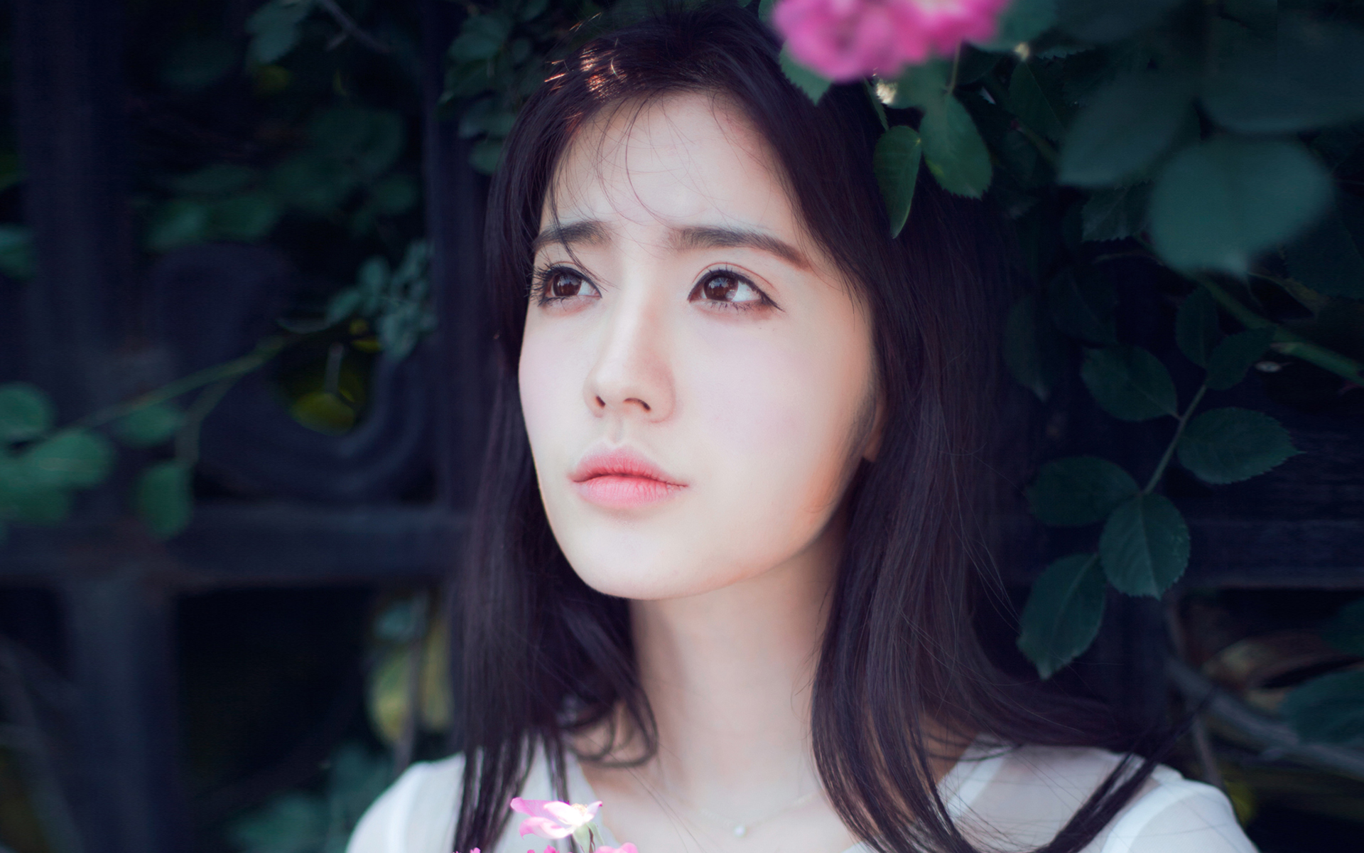 腹黑大灰狼溺宠小猫咪,腹黑大灰狼vs呆萌小萝莉