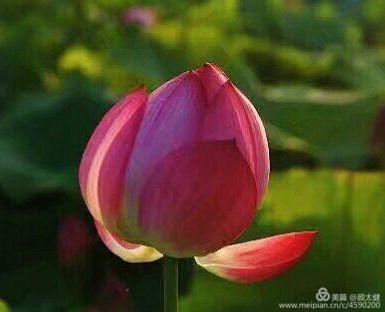 《白浪情丰收节、中秋节、国庆节休闲晚会》优秀作品选登