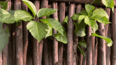 一生必去的10个图书馆,有什么值得打卡的图书馆