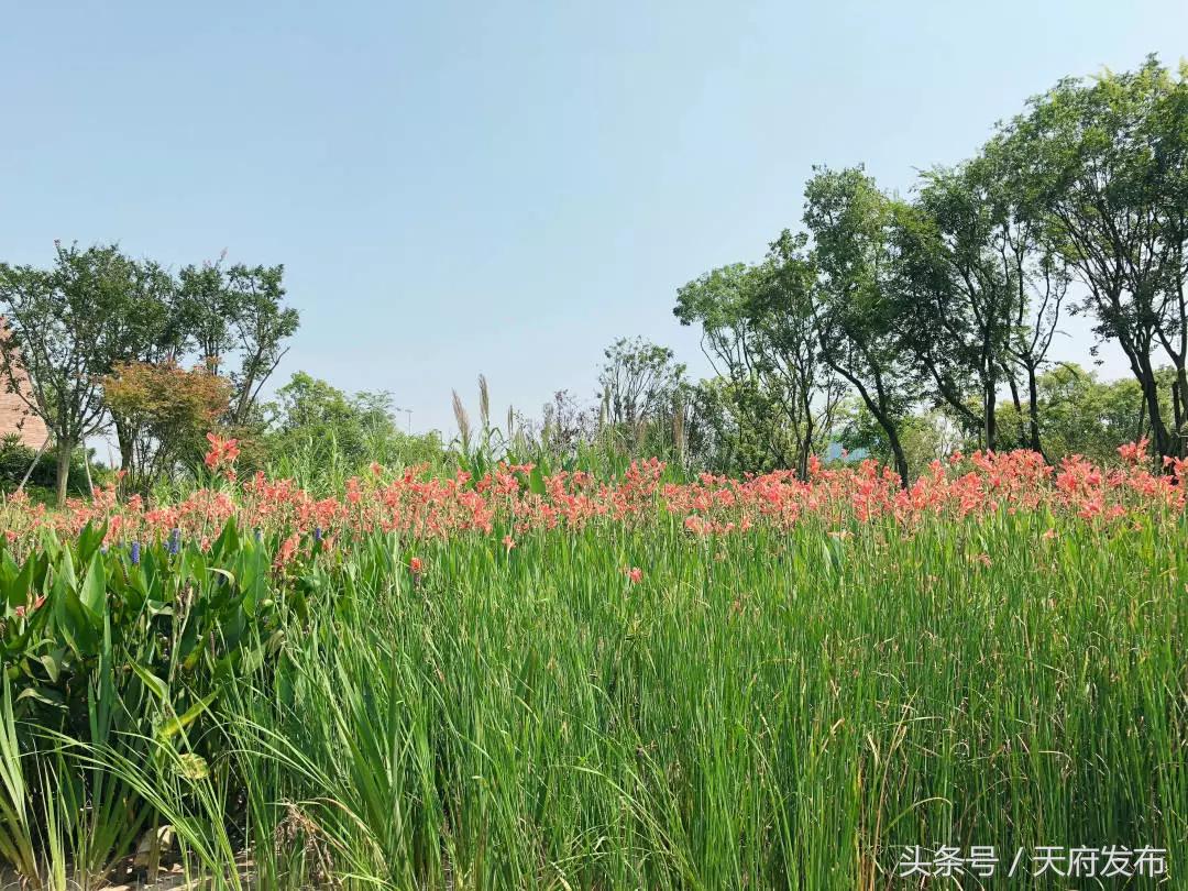 天府新区国庆哪里玩,国庆假期游玩攻略成都天府新区