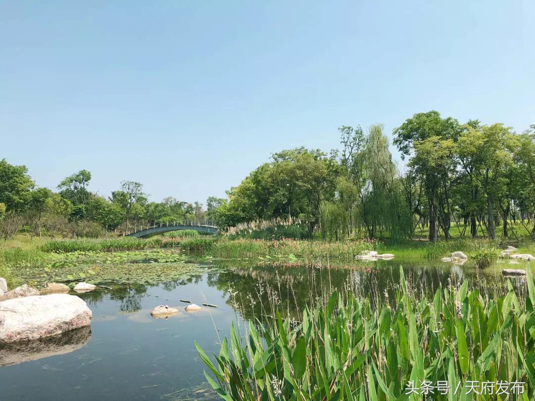 天府新区国庆哪里玩,国庆假期游玩攻略成都天府新区