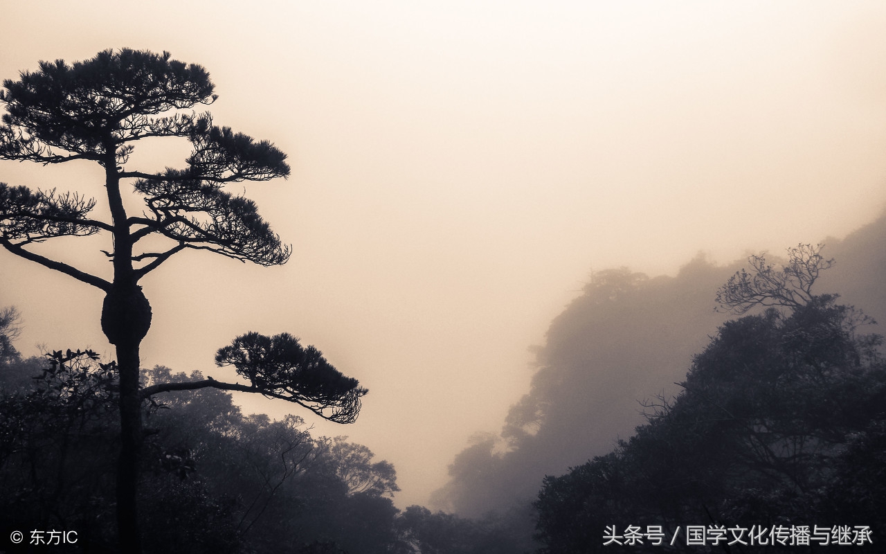 中华新韵是指十八韵还是十四韵,中华十八韵完整版