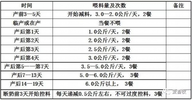 母猪的分娩与接产操作方案,母猪生产与分娩计划表