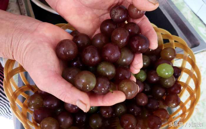 葡萄酒怎么酿好喝教程,想喝葡萄酒不用买教你一招