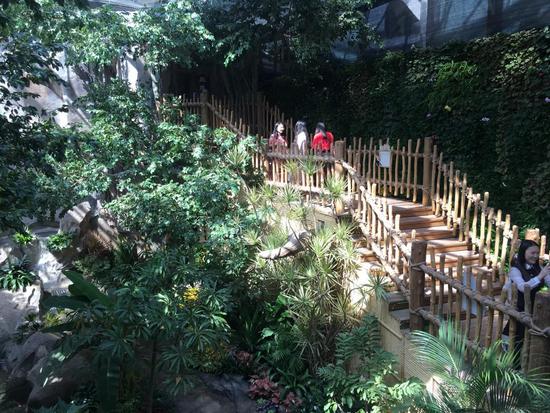 蝶舞生活倾城绽放杭州首个蝴蝶公园在西溪欢乐城盛大开园