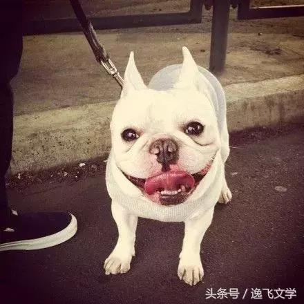 快速发家致富的小窍门,赚钱致富小窍门大全