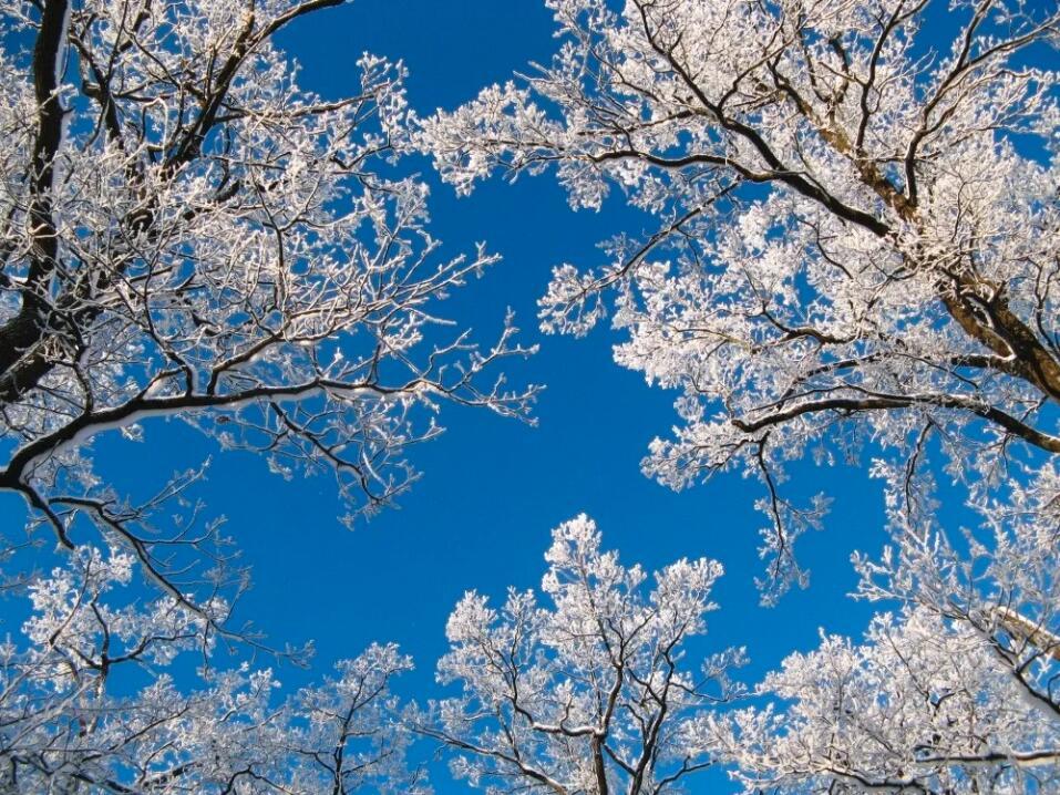 雪乡镜泊湖延吉旅游攻略,雪乡东北虎林园