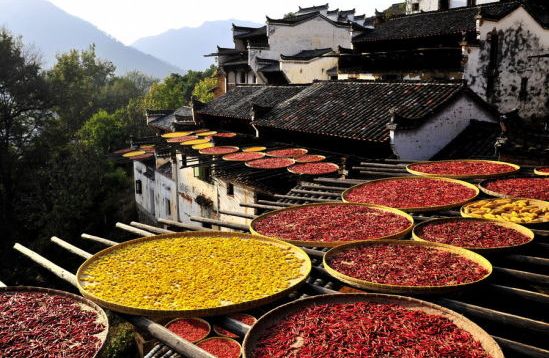 鏄ユ棩缇庡浘缇庢枃,缇庢枃缇庡浘