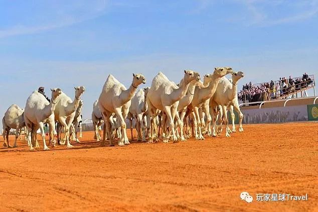 土豪城市，你只知道迪拜超级low了！阿布扎比了解一下