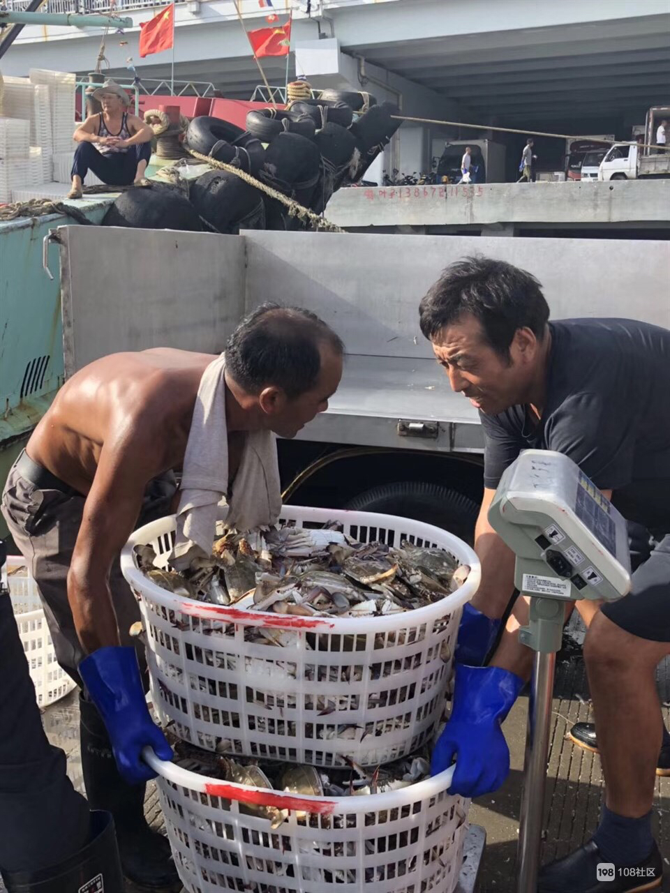 游客去舟山怎么买海鲜,舟山哪个岛买海鲜便宜实惠