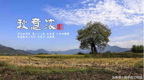 专题复习：备战2019年高考之诗歌鉴赏易错手法分析四（白描手法）