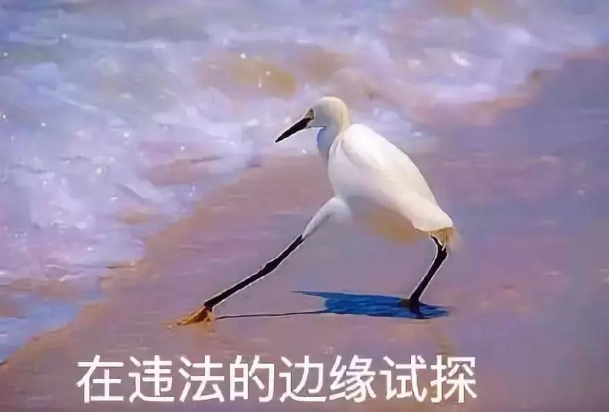 有效果的瘦脸霜,瘦身霜瘦脸