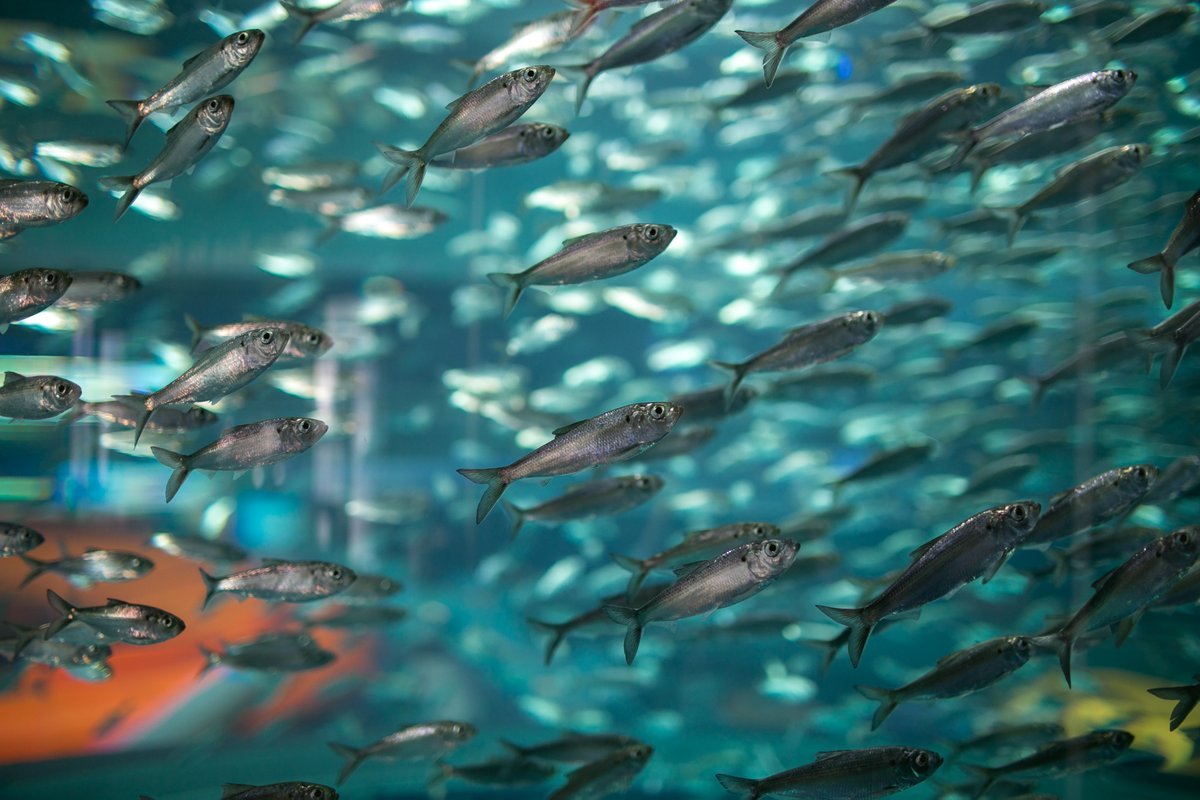 七天自我发现之旅｜Day4放任自我