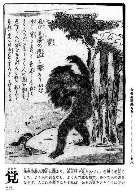 山中毛猴，洞悉人心「百鬼·觉」