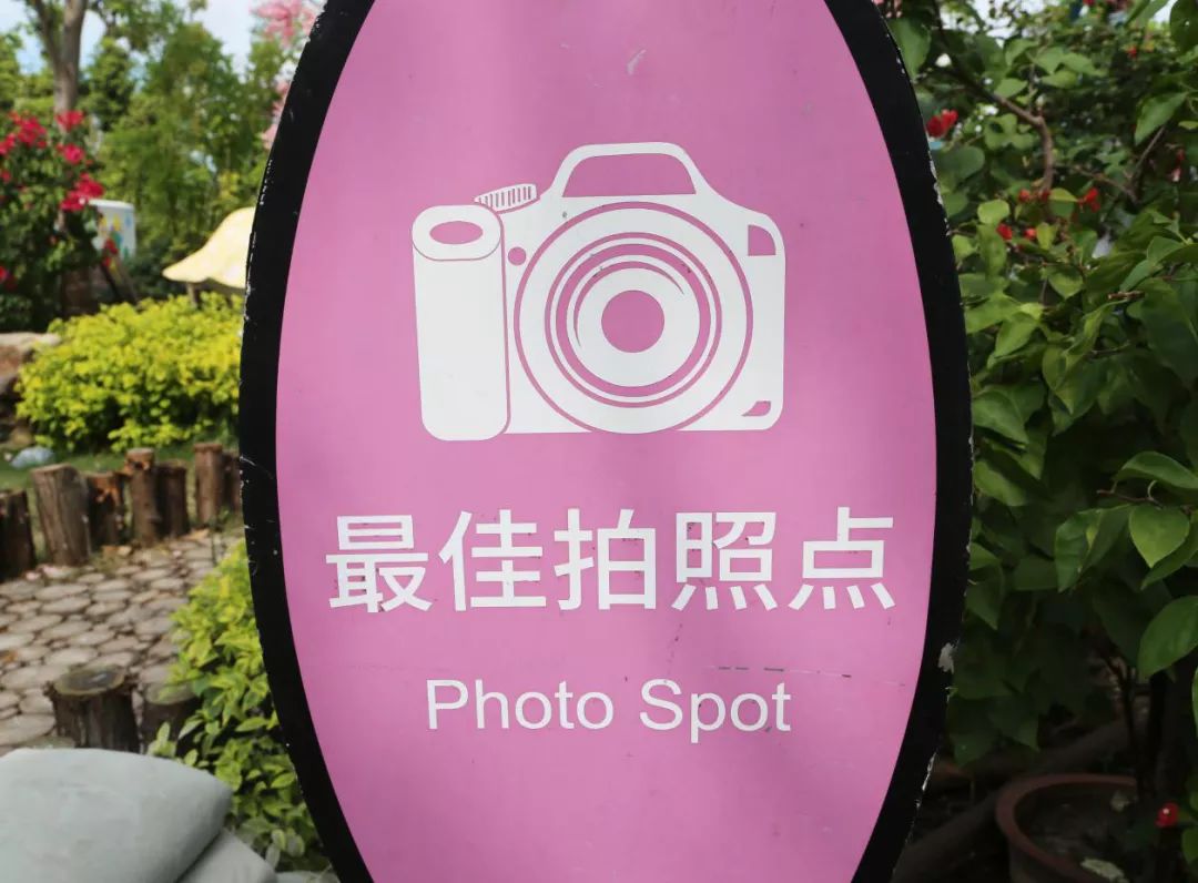 上海有个很美的公园,上海特别美而且安静的公园