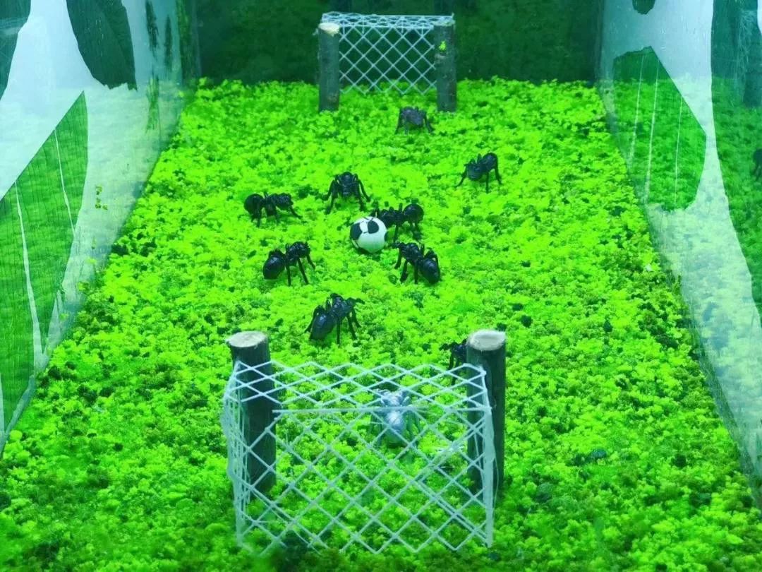 上海有个很美的公园,上海特别美而且安静的公园