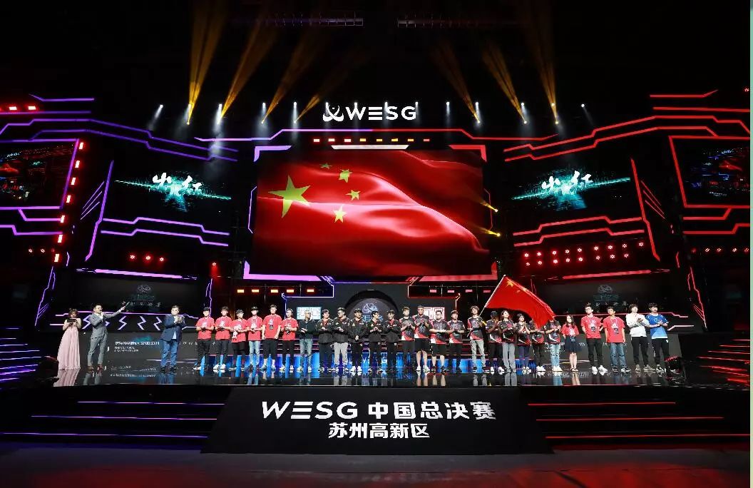 wesg中国区总决赛冠军,wesg2018冠军