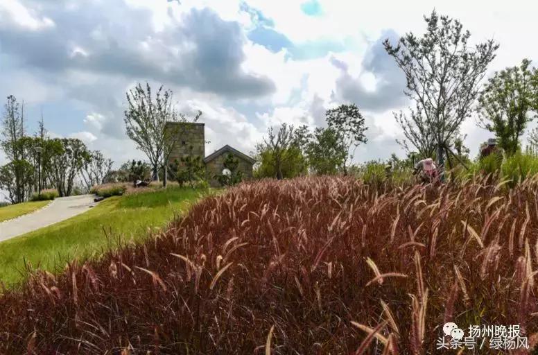 国庆扬州旅游景点推荐,扬州值得去看的景点推荐