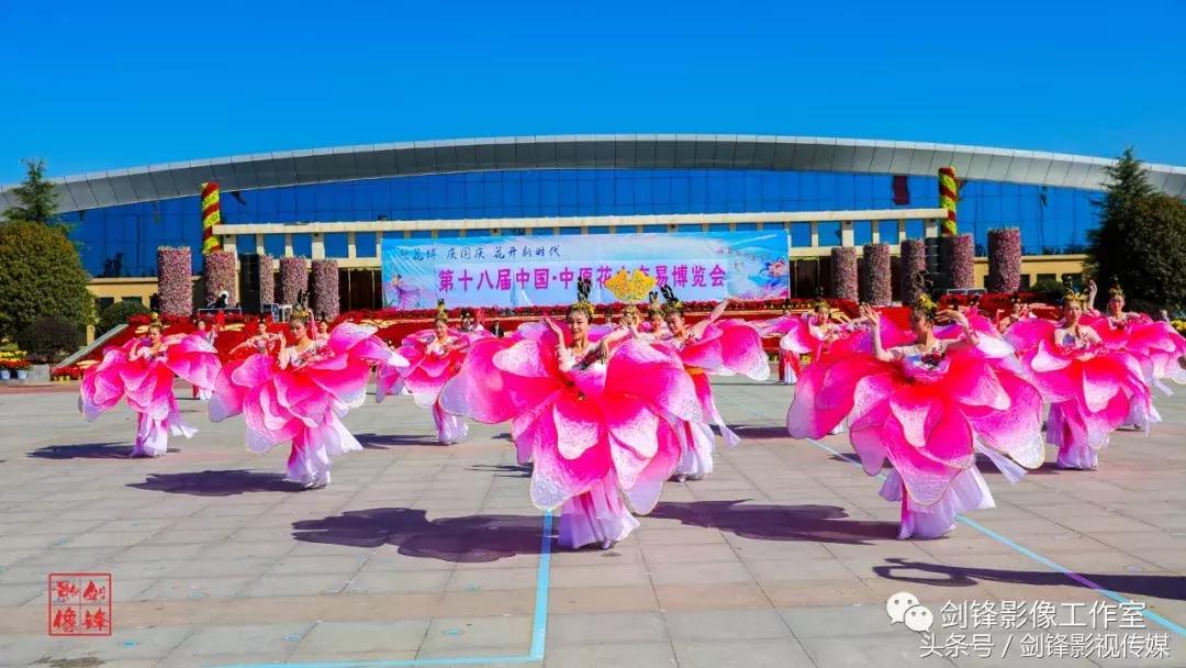 百花争艳花展,争奇斗艳花卉展