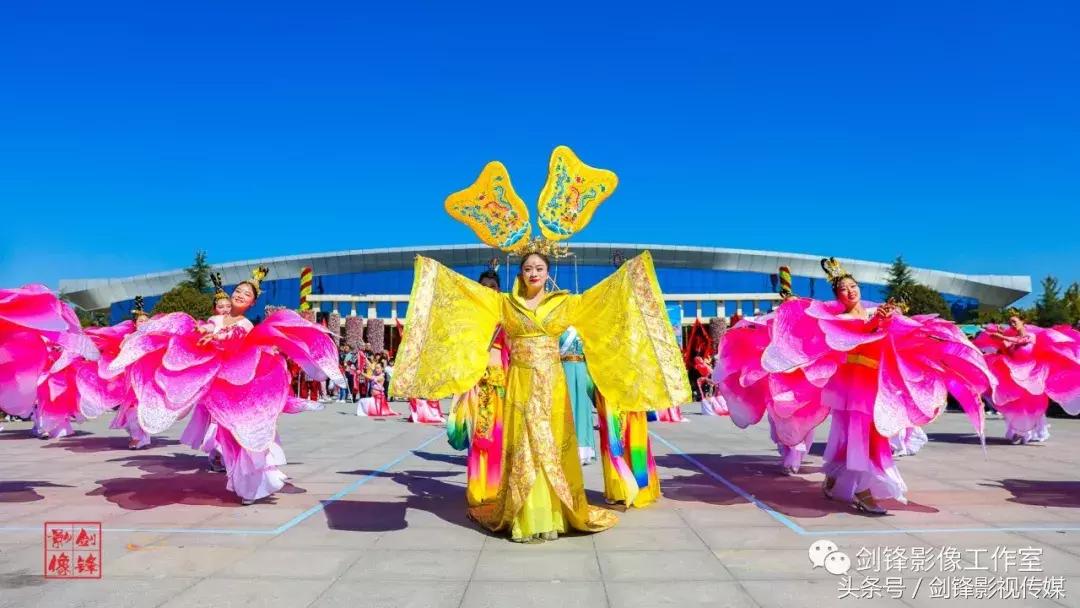 百花争艳花展,争奇斗艳花卉展